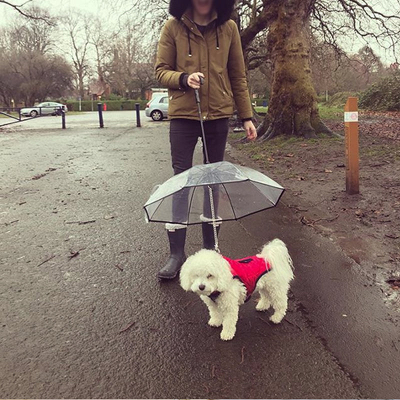 Parapluie transparent pour animaux de compagnie Parapluie pour chien Produits pour animaux de compagnie