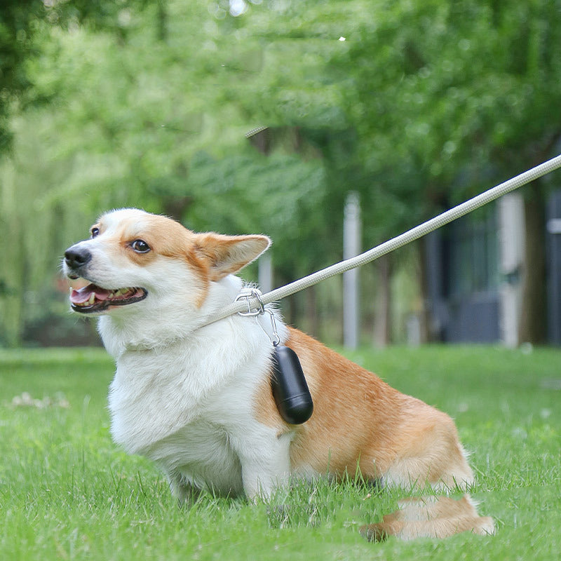 Limpieza del dispensador de bolsas de desechos degradables para mascotas